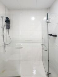 The Sunny Spring (D14), Apartment #485700041
